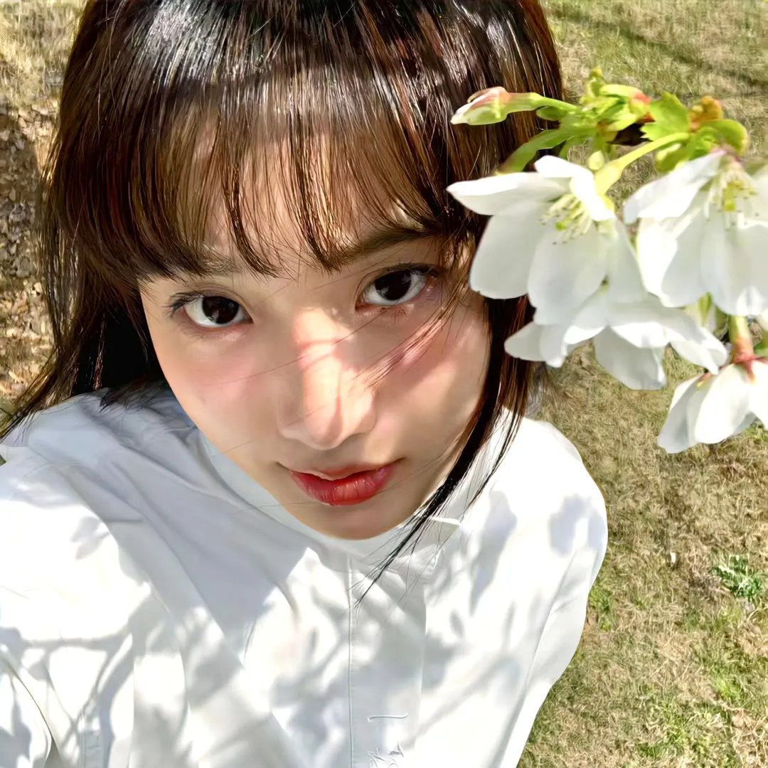 诺娃队长